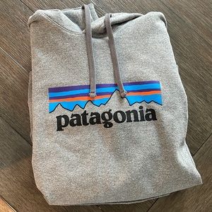 Patagonia Hoodie